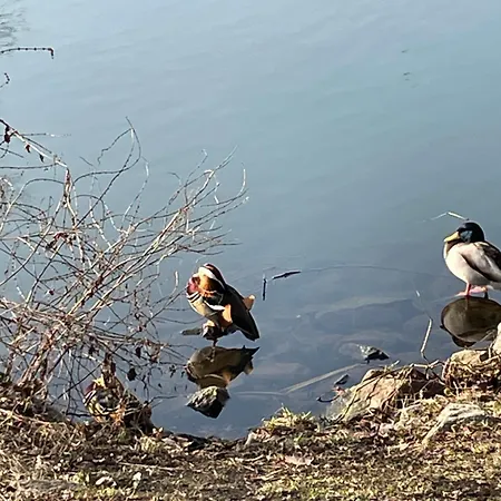 Meine Schoene In Der Naehe Der Spree Апартаменты