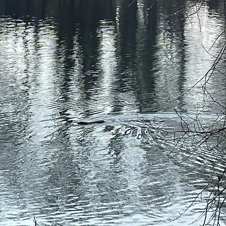 Meine Schoene In Der Naehe Der Spree Appartement *