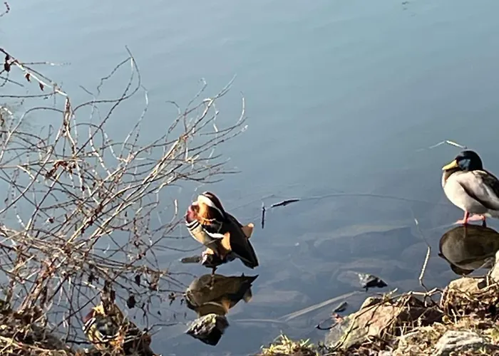 Meine Schoene In Der Naehe Der Spree דירה