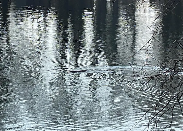 Meine Schoene In Der Naehe Der Spree شقة *